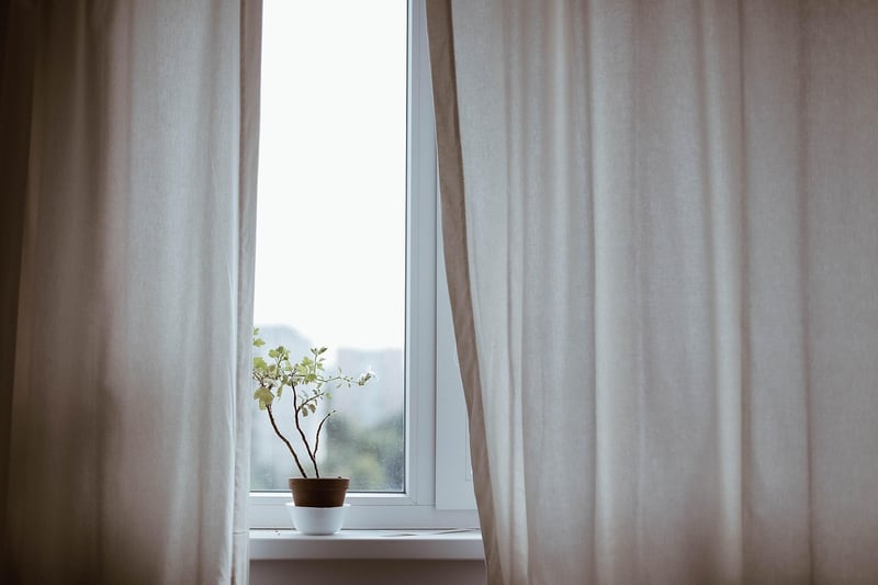 Indoor Greenery Hacks